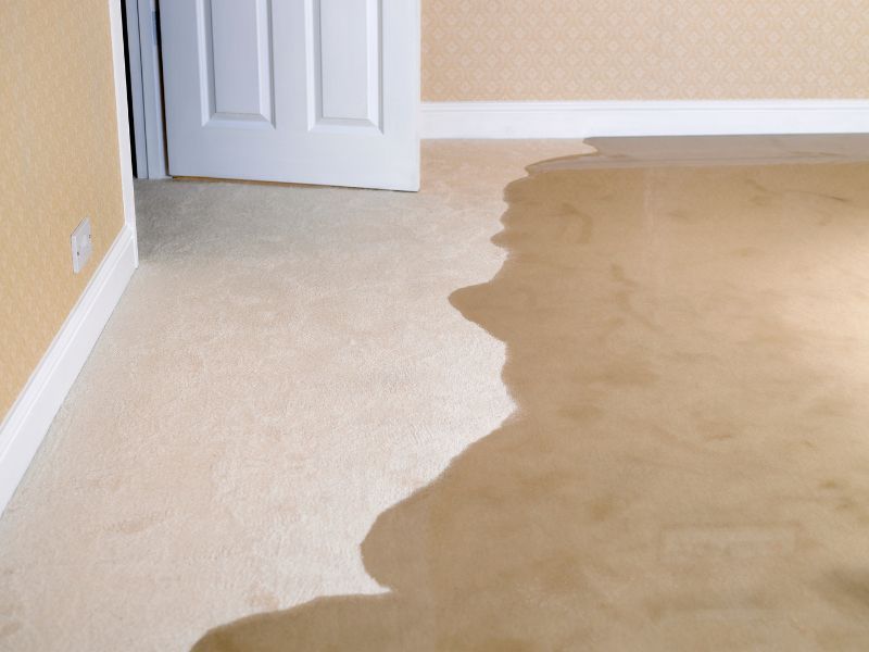 What is the Average Cost of Flood Remediation in Hamilton, OH?