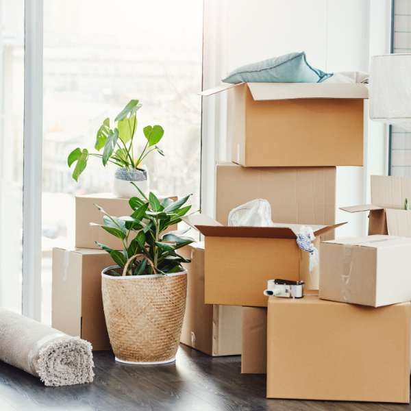 Move In and Move Out Cleaning